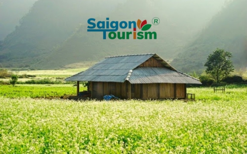 Tour Hà Nội - Mai Châu - Mộc Châu - MÙA HOA CẢI TRẮNG