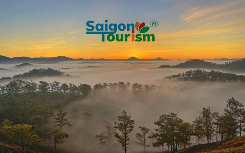 ĐÀ LẠT TIỂU PARI THU NHỎ